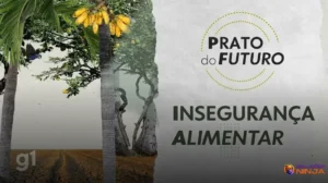 Brasil enfrenta desafios com a fome e a segurança alimentar em 2025