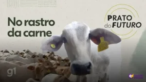 Como o Brasil disparou na exportação de carne para os EUA