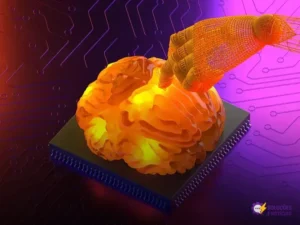 Tokio Marine inova com Inteligência Artificial no processamento de documentos