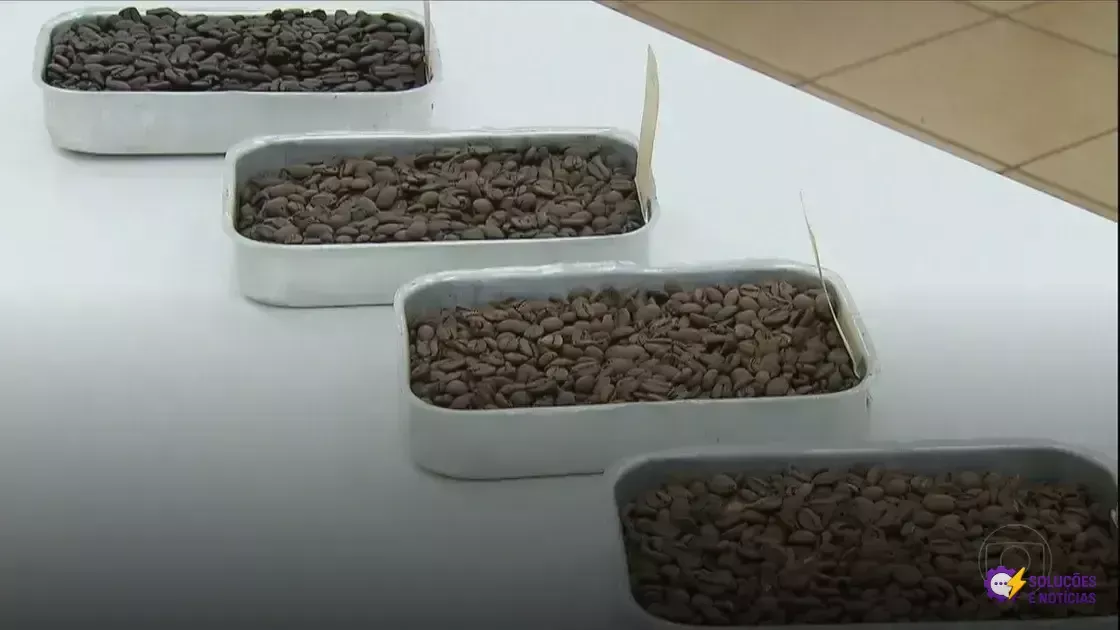 Torra de café: descubra as diferenças entre clara, média, escura e extraforte